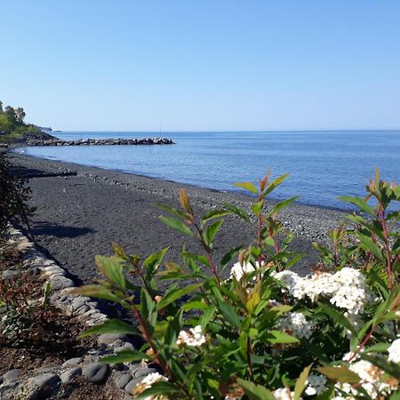 Pasa Tatil Koeyue Akcaabat Exteriér fotografie